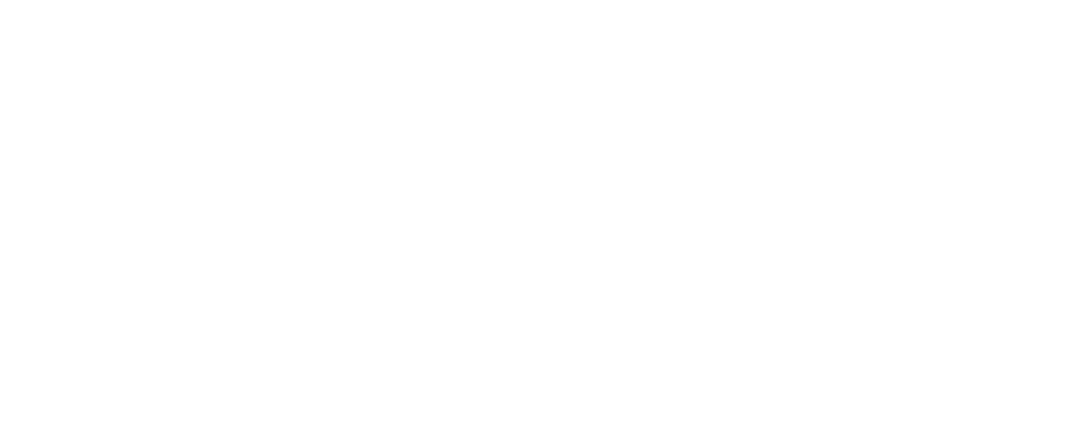 STIIIZY